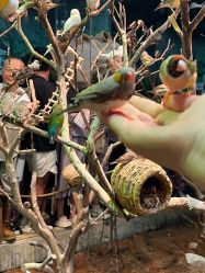 -Zoolung Zoolung动物主题公园(海信广场店)