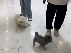 -美联众合动物医院·24h京西诊疗中心