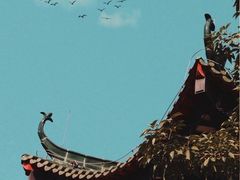 -广州塔