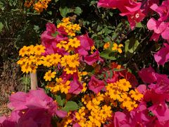 -优游吧斯邹族文化部落