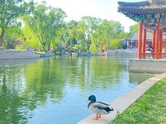 -万柳阁小馆·花园餐厅(龙潭湖店)