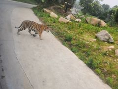 -西安秦岭野生动物园