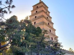 -大慈恩寺(大雁塔)