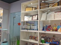 -斯坦星球AI编程·机器人科创·科学实验·信奥·思维·STEM·乐高·竞赛考级(浦东联洋广场大拇指龙阳御桥中心)