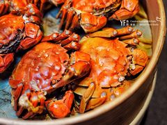 -福玺荟(外滩罗斯福店)