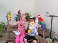 -吉隆坡雀鸟公园