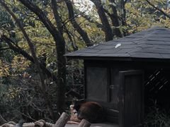 -云南野生动物园