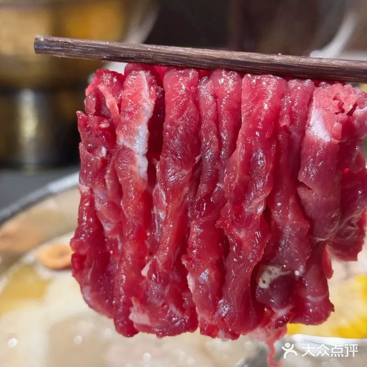 圣诞季约会 艾特饭搭子梧桐树下温暖滋味