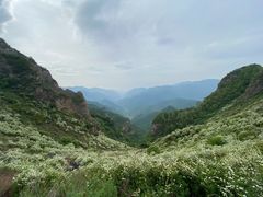 -灵山