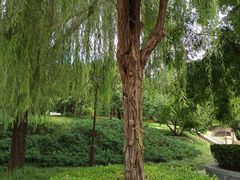 -元大都城垣遗址公园