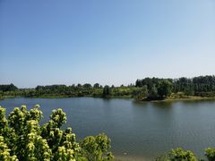 -东郊湿地公园