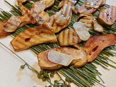 鹅油堂煎牛肝菌-泓0871臻选云南菜·味庄