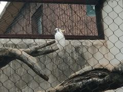 -南昌动物园