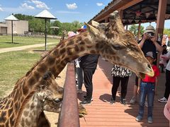 -鄂尔多斯野生动物园