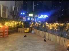 -蛙两只美蛙鱼头火锅(恒茂店)