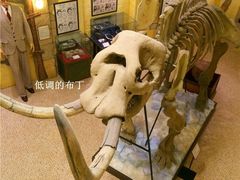 -信不信由你博物馆