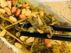 凉拌鱼皮-点都德(北京路贰店)