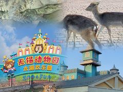 -无锡动物园·太湖欢乐园