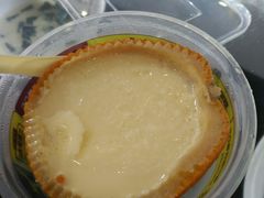 雪燕香橙炖蛋-无影脚佛山陈氏盲公丸始创店(飞鸿街店)