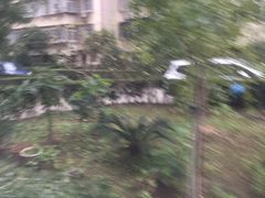 -尚田草莓姑娘白草莓采摘基地