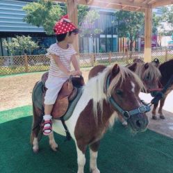 -萌宠亲子动物乐园(槐房万达店)