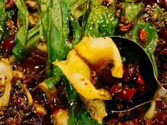-都江堰石锅鱼