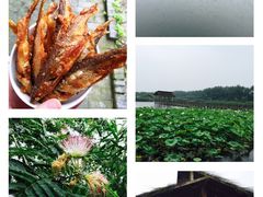 iphone_upload_pic-溱湖国家湿地公园