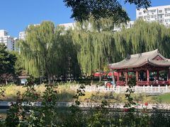 -元大都城垣遗址公园