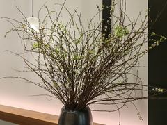 -四季合味椰子鸡(南山大冲店)