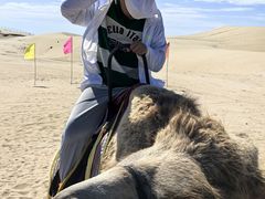 -库伦旗银沙湾旅游景区