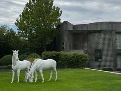 -春晖园度假酒店温泉