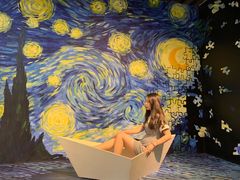 -梵高星空艺术馆(万达旗舰店)