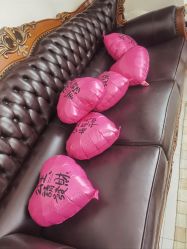 -LUNA皮相美·骨相美高级美感
