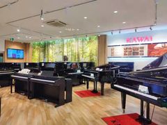 -柏斯琴行(汾阳店)