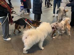 -大悦城(沈阳中街店)