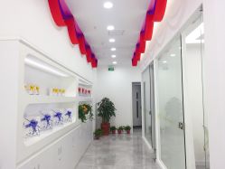 -莱可美科技美肤