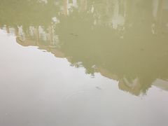 -晓港公园