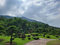 -深圳仙湖植物园