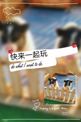 -萌宠亲子动物乐园(槐房万达店)