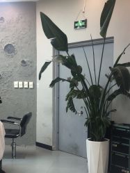 -Cima salon西玛沙龙