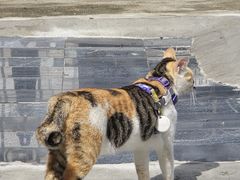 -Again Coffee Roaster(香蜜湖店)