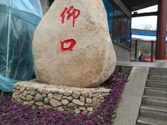 -崂山仰口游览区