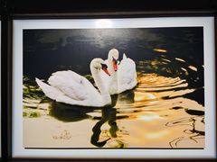 -罗红摄影艺术馆