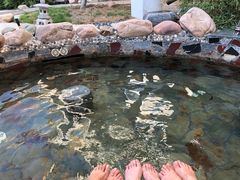 -国御温泉度假小镇