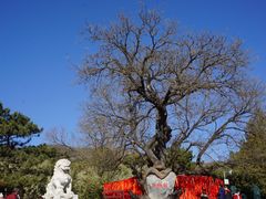 -八大处公园