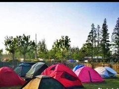 -前小桔亲子创意农场·草莓采摘·露营烧烤