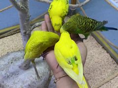 -梦幻海洋王国(吾悦广场张家港店)