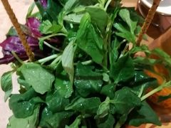 -一朵菌·野生菌探索家火锅(南亚店)
