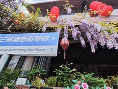-三林塘老街