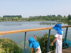 -东郊湿地公园